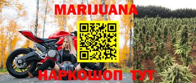 a pvp Новодвинск